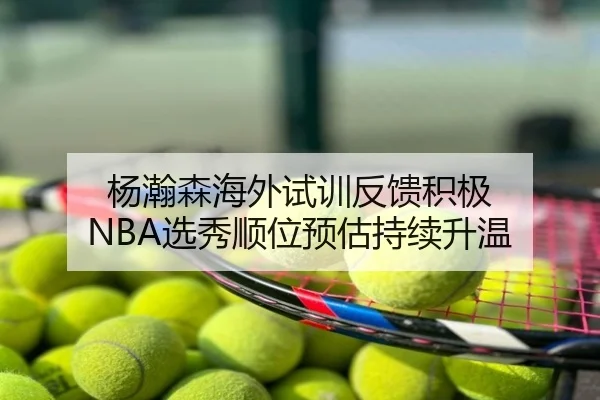 杨瀚森海外试训反馈积极 NBA选秀顺位预估持续升温